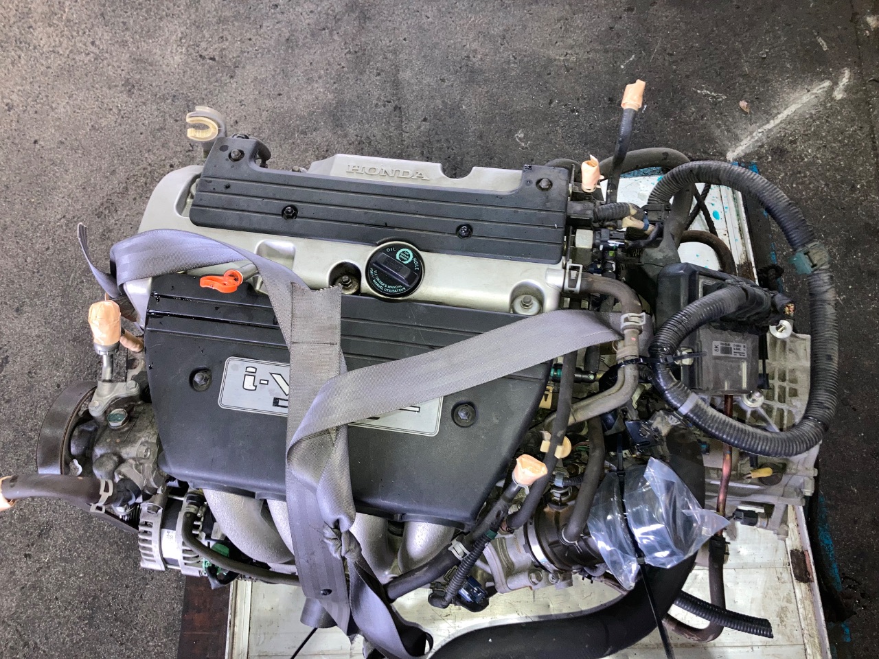 エンジン CPハーネス付 - ステップワゴン Ref:SP363256_296 6/9